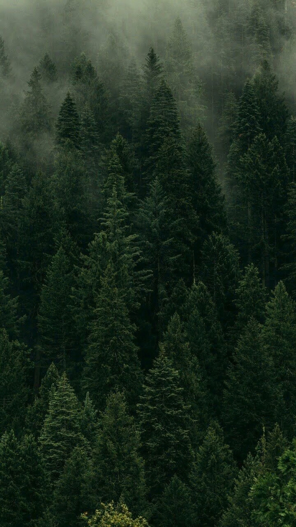 Valley Sunset